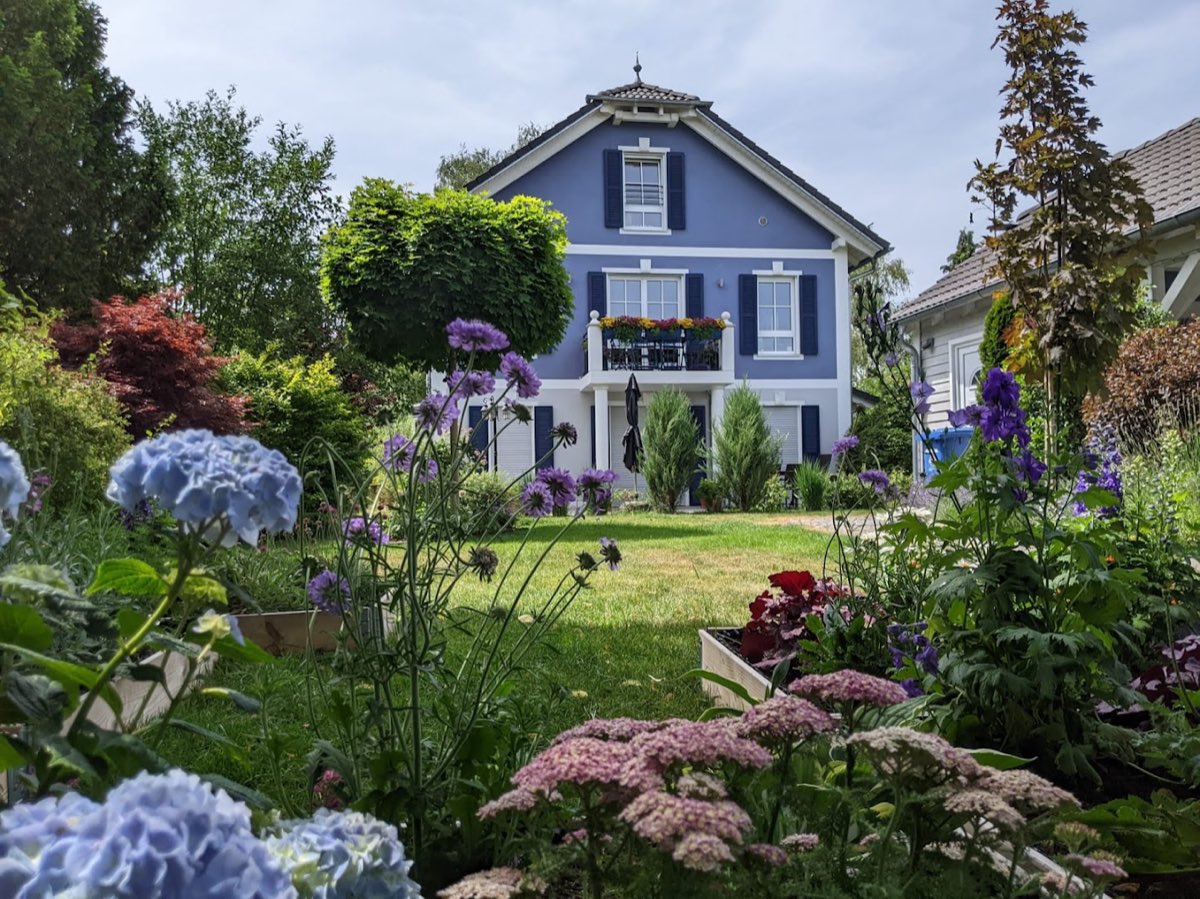 Das blaue Haus, vom sommerlichen Hexengarten aus gesehen