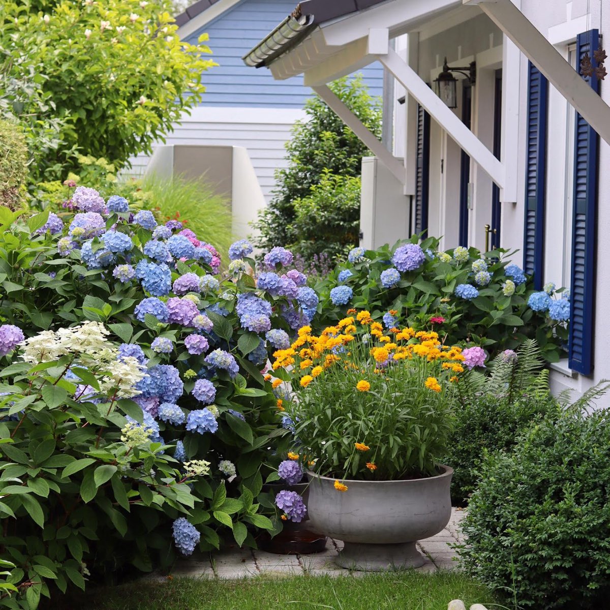 Blühende Hortensien und Ringelblumen vor der Veranda